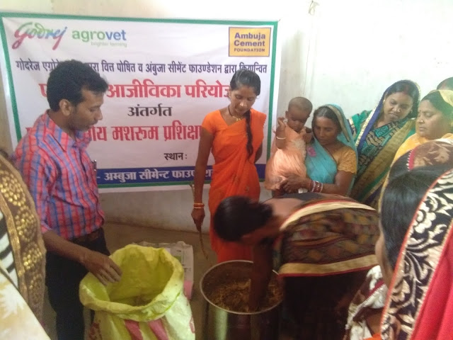 Farmers training under Godrej Agrovet partnership